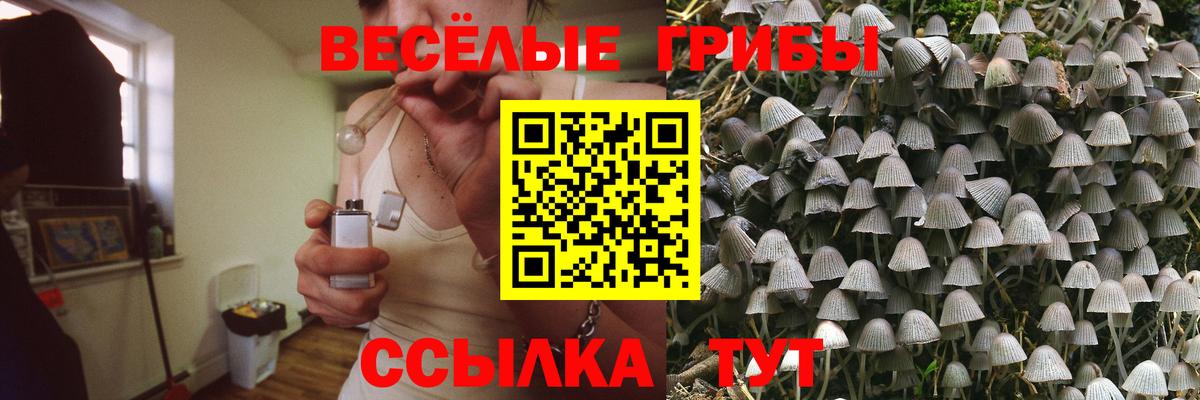 Псилоцибиновые грибы ЛСД  Вход с VPN  Симферополь 